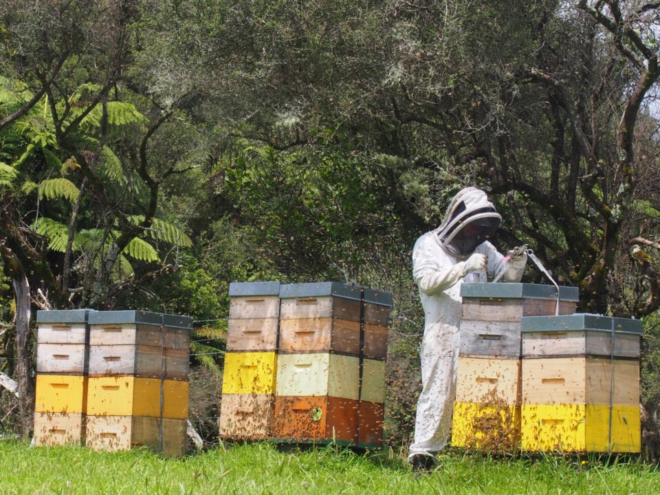 Why HD: Why it beats syntheticsdelete